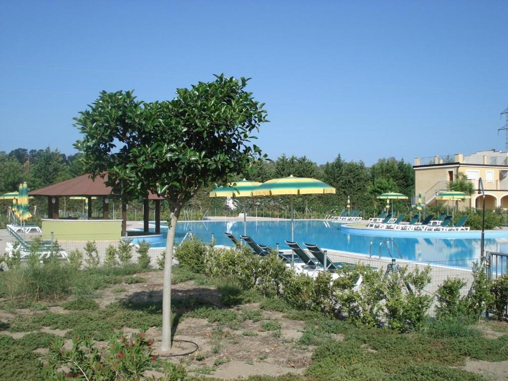 Sonia Pizzo Beach Club Διαμέρισμα Εξωτερικό φωτογραφία